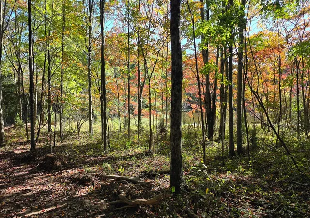 Photo 3 of Land for sale at 961 Keiser Rd, Waverly, OH 45690 | MLS# 226039739 | Listing updated on 2026-10-19