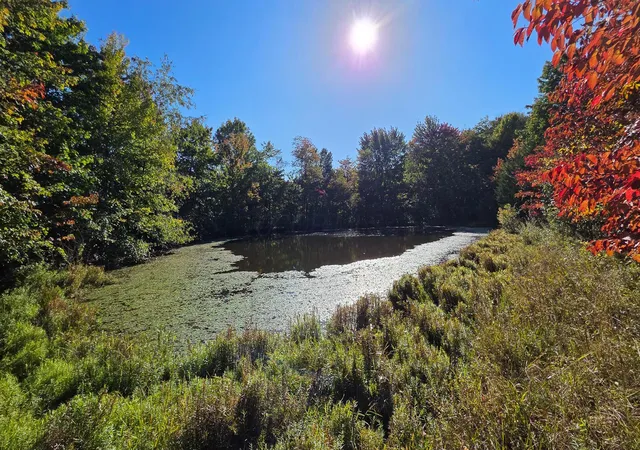 Photo 4 of Land for sale at 961 Keiser Rd, Waverly, OH 45690 | MLS# 226039739 | Listing updated on 2026-10-19