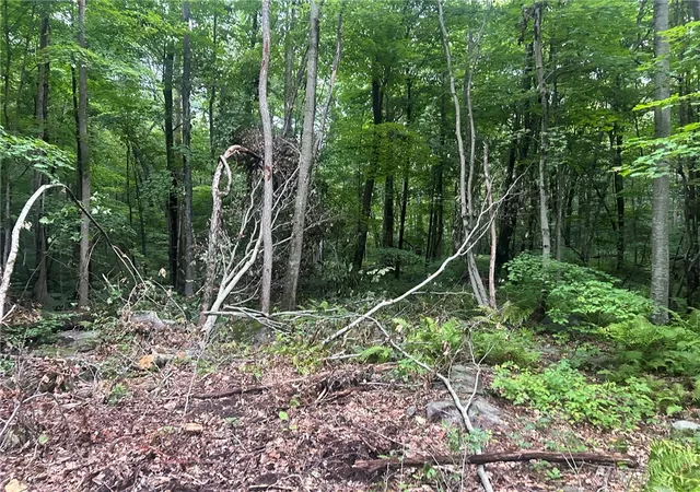 Photo 4 of Land for sale at 263 Quaker Ln, North Scituate, RI 02857 | MLS# 1412823 | Listing updated on 2026-09-04