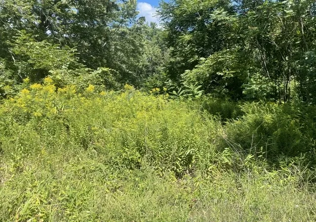 Photo 2 of Land for sale at 0 Wallum Lake Rd, Pascoag, RI 02859 | MLS# 1422512 | Listing updated on 2026-09-17