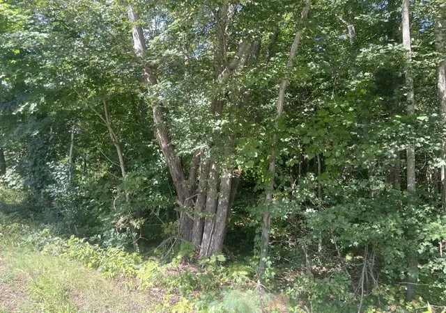 Photo 3 of Land for sale at 0 Wallum Lake Rd, Pascoag, RI 02859 | MLS# 1422512 | Listing updated on 2026-09-17