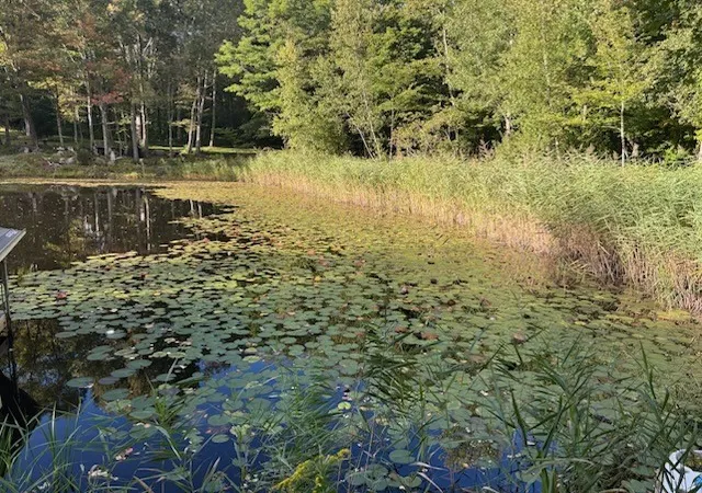 Photo 2 of Land for sale at 0 Cucumber Hl Rd, Foster, RI 02825 | MLS# 1424866 | Listing updated on 2026-10-17