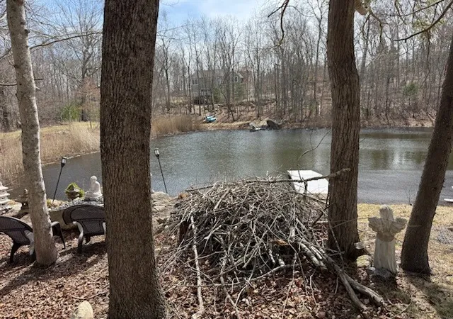 Photo 3 of Land for sale at 0 Cucumber Hl Rd, Foster, RI 02825 | MLS# 1424866 | Listing updated on 2026-10-17