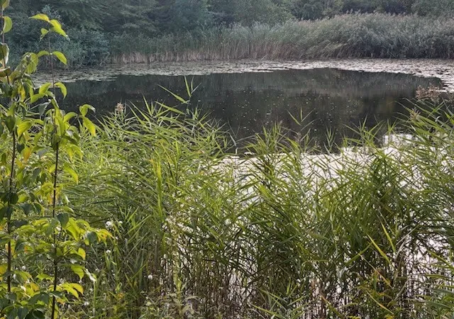 Photo 3 of Land for sale at 0 Cucumber Hl Rd, Foster, RI 02825 | MLS# 1424866 | Listing updated on 2026-10-17