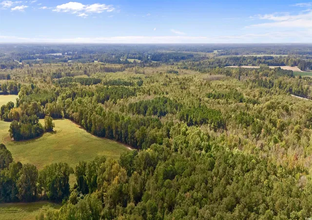 Photo 3 of Land for sale at 000 Schofield Pl, Fork, SC 29543 | MLS# 2524019 | Listing updated on 2026-09-03