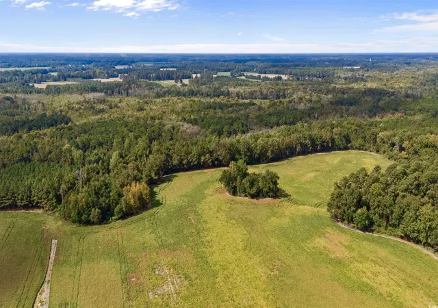 Photo 3 of Land for sale at 000 Schofield Pl, Fork, SC 29543 | MLS# 2524019 | Listing updated on 2026-09-03