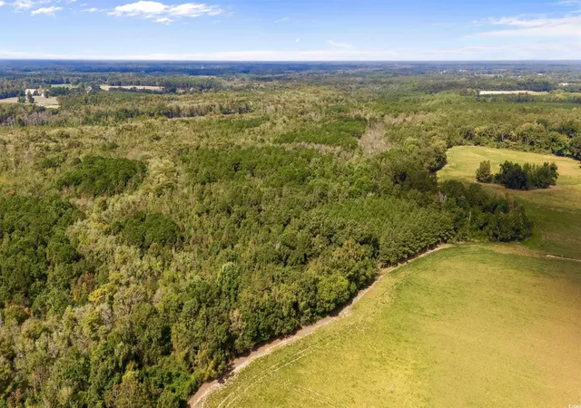 Photo 4 of Land for sale at 000 Schofield Pl, Fork, SC 29543 | MLS# 2524019 | Listing updated on 2026-09-03