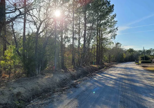 Photo 3 of Sale Pending at Tbd 1 Log Cabin Rd, Loris, SC 29569 | MLS# 2601037 | Listing updated on 2026-09-10