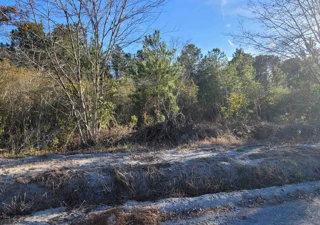 Photo 4 of Sale Pending at Tbd 1 Log Cabin Rd, Loris, SC 29569 | MLS# 2601037 | Listing updated on 2026-09-10