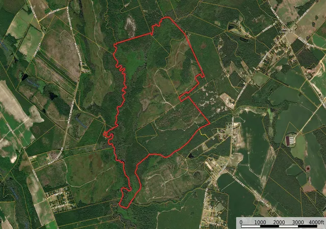 Photo 1 of Land for sale at 0 Gully Branch Rd, Hamer, SC 29547 | MLS# 2601450 | Listing updated on 2026-09-11