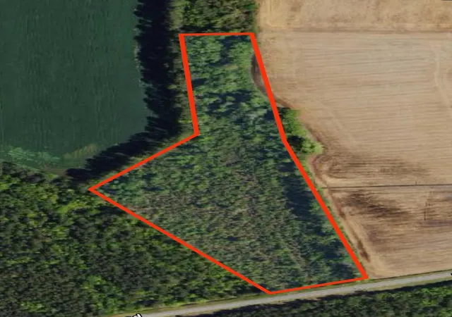 Photo 1 of Land for sale at Tbd Pinckney Rd, Nichols, SC 29581 | MLS# 2603723 | Listing updated on 2026-09-09