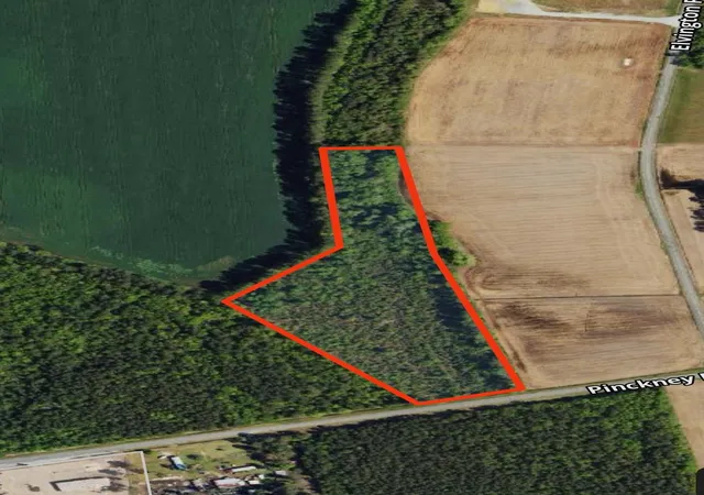 Photo 2 of Land for sale at Tbd Pinckney Rd, Nichols, SC 29581 | MLS# 2603723 | Listing updated on 2026-09-09