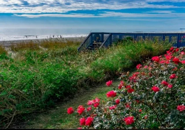 Photo 3 of Condo for sale at 2001 S Ocean Blvd #1410, Myrtle Beach, SC 29577 | MLS# 2604865 | Listing updated on 2026-09-08