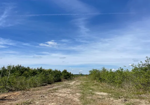 Photo 1 of Sale Pending at Tbd 30 Ac Rocky Frd Rd, Salters, SC 29590 | MLS# 2611920 | Listing updated on 2026-10-01