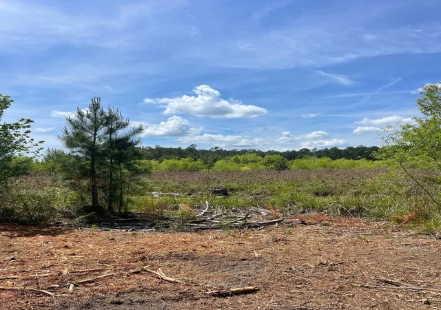 Photo 2 of Sale Pending at Tbd 30 Ac Rocky Frd Rd, Salters, SC 29590 | MLS# 2611920 | Listing updated on 2026-10-01