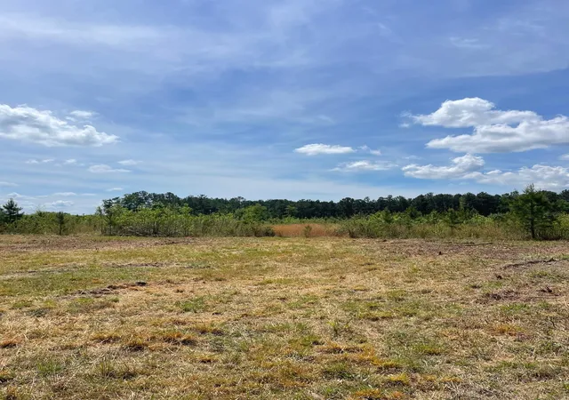 Photo 3 of Sale Pending at Tbd 30 Ac Rocky Frd Rd, Salters, SC 29590 | MLS# 2611920 | Listing updated on 2026-10-01