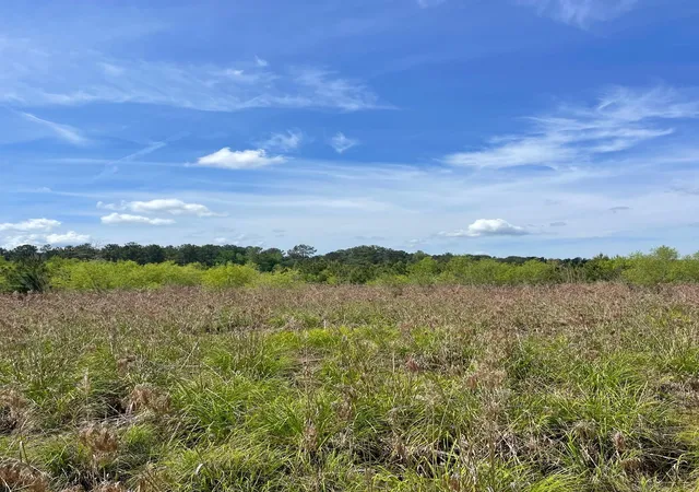 Photo 4 of Sale Pending at Tbd 30 Ac Rocky Frd Rd, Salters, SC 29590 | MLS# 2611920 | Listing updated on 2026-10-01