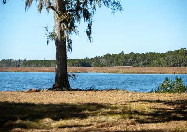 Photo 1 of Land for sale at 1939 Mauricena Rd, Georgetown, SC 29440 | MLS# 2613164 | Listing updated on 2026-09-03