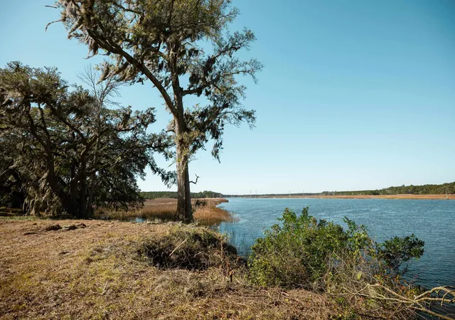 Photo 2 of Land for sale at 1939 Mauricena Rd, Georgetown, SC 29440 | MLS# 2613164 | Listing updated on 2026-09-03