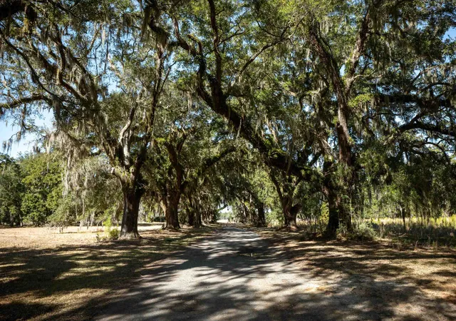 Photo 3 of Land for sale at 1939 Mauricena Rd, Georgetown, SC 29440 | MLS# 2613164 | Listing updated on 2026-09-03