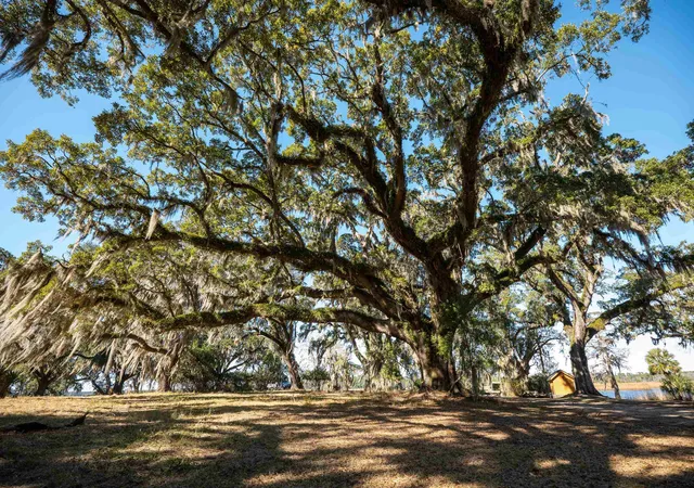 Photo 4 of Land for sale at 1939 Mauricena Rd, Georgetown, SC 29440 | MLS# 2613164 | Listing updated on 2026-09-03
