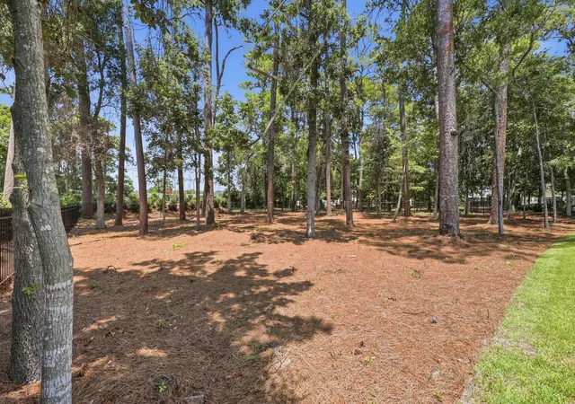 Photo 86 of Mansion for sale at 9413 Park St, Myrtle Beach, SC 29572 | MLS# 2616979 | Listing updated on 2026-09-09