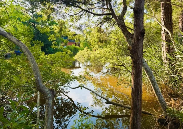 Photo 3 of Sale Pending at 67 Ricefield Pl, Georgetown, SC 29440 | MLS# 2617103 | Listing updated on 2026-09-14