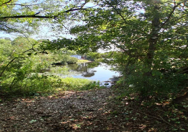 Photo 3 of Sale Pending at 761 Drawbridge Dr, Conway, SC 29526 | MLS# 2617897 | Listing updated on 2026-09-25