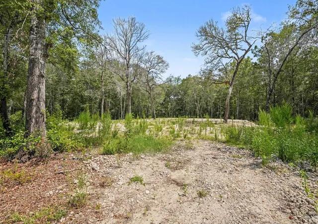Photo 3 of Land for sale at 120 Waccamaw River Rd, Conway, SC 29526 | MLS# 2618960 | Listing updated on 2026-09-09