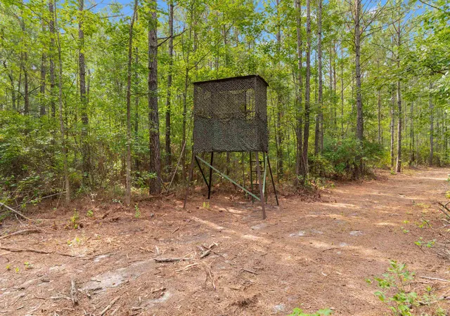 Photo 1 of Land for sale at 15581 Acres   Roper Woods Rd, Lake City, SC 29560 | MLS# 2619180 | Listing updated on 2026-09-09