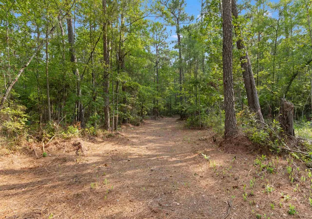 Photo 3 of Land for sale at 15581 Acres - Roper Woods Rd, Lake City, SC 29560 | MLS# 2619180 | Listing updated on 2026-09-09