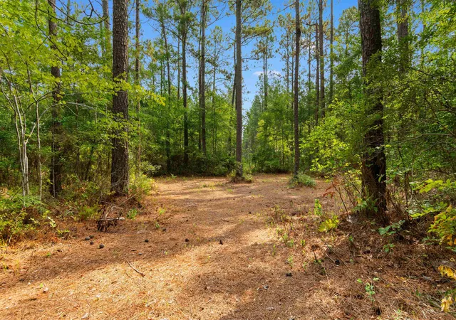Photo 4 of Land for sale at 15581 Acres - Roper Woods Rd, Lake City, SC 29560 | MLS# 2619180 | Listing updated on 2026-09-09
