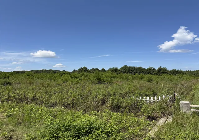 Photo 1 of Land for sale at 183 Dove Rd, Loris, SC 29569 | MLS# 2619742 | Listing updated on 2026-09-09