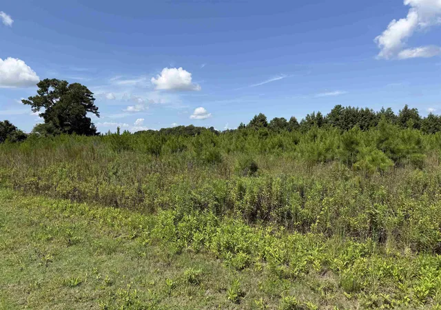 Photo 3 of Land for sale at 183 Dove Rd, Loris, SC 29569 | MLS# 2619742 | Listing updated on 2026-09-09