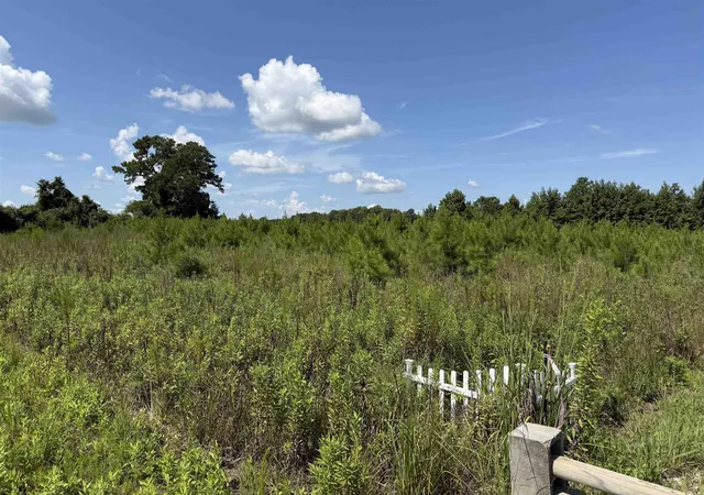 Photo 3 of Land for sale at 175 Dove Rd, Loris, SC 29569 | MLS# 2619744 | Listing updated on 2026-09-09