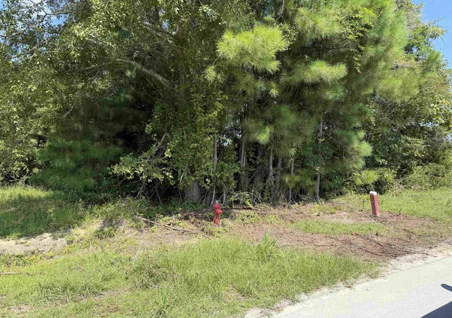 Photo 3 of Land for sale at 175 Dove Rd, Loris, SC 29569 | MLS# 2619744 | Listing updated on 2026-10-07