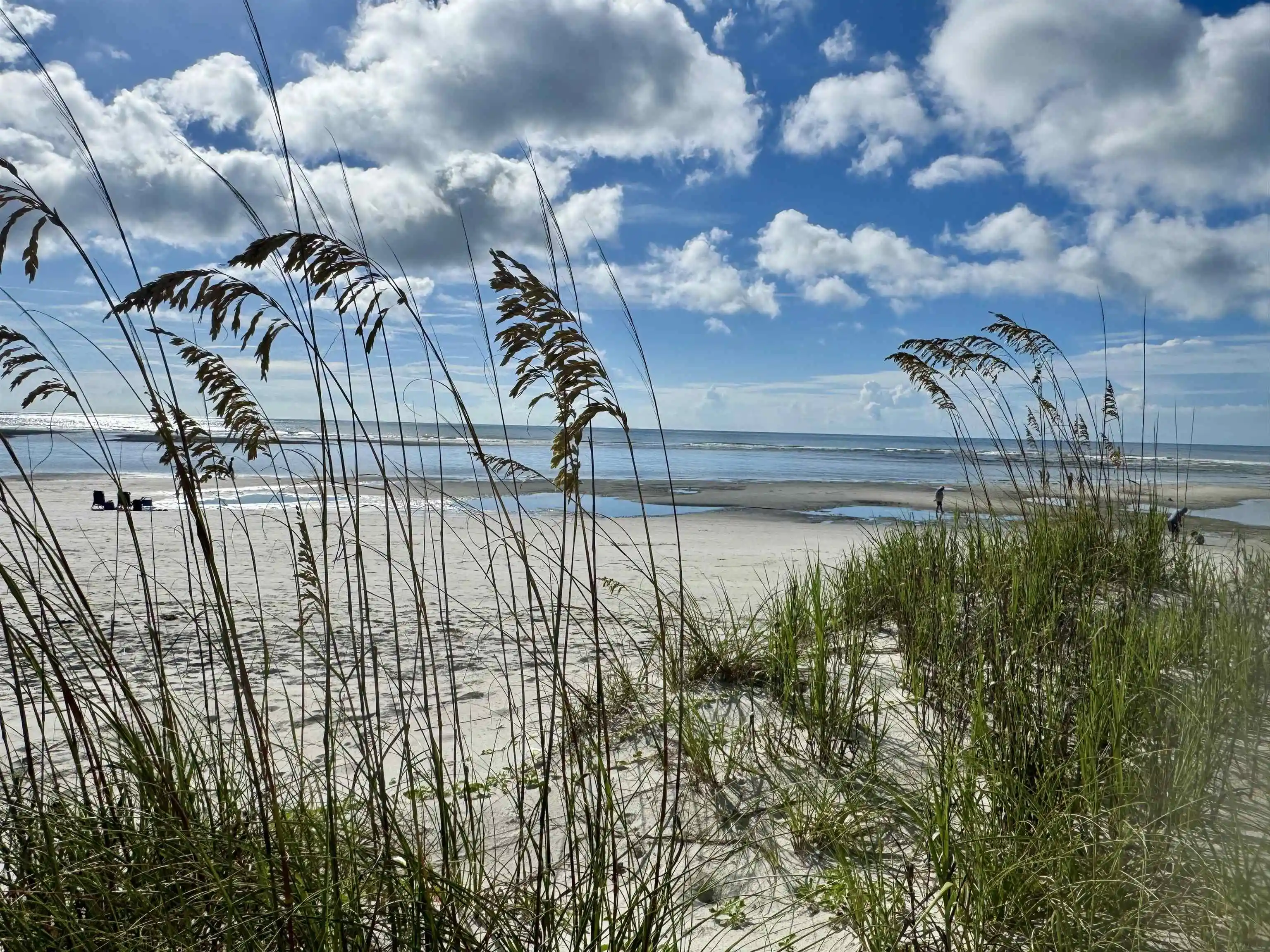 Listing Photo 51 - Condo for sale in 4840 Moss Creek Loop located at 4840 Moss Creek Loop, Murrells Inlet, SC 29576 - Unit #16