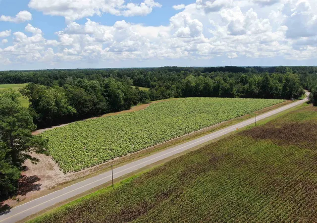 Photo 1 of Sale Pending at Tbd Black Crk Rd, Nichols, SC 29581 | MLS# 2619800 | Listing updated on 2026-10-05