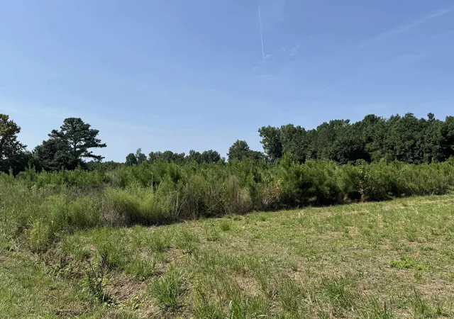 Photo 1 of Sale Pending at Tbd Spring Branch Rd, Nichols, SC 29581 | MLS# 2620099 | Listing updated on 2026-08-31