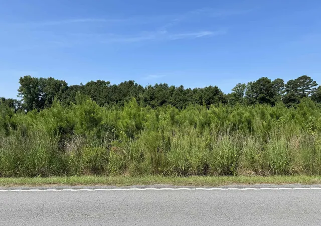 Photo 2 of Sale Pending at Tbd Spring Branch Rd, Nichols, SC 29581 | MLS# 2620099 | Listing updated on 2026-08-31
