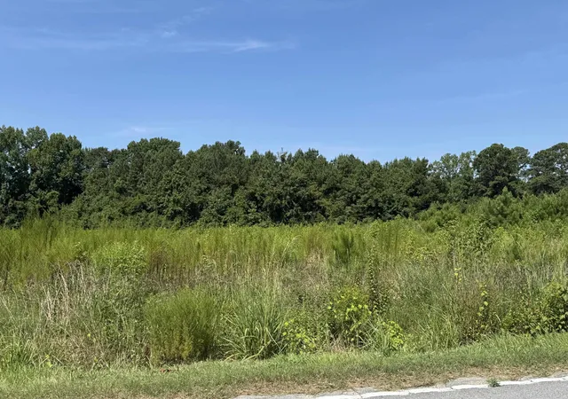 Photo 3 of Sale Pending at Tbd Spring Branch Rd, Nichols, SC 29581 | MLS# 2620099 | Listing updated on 2026-08-31