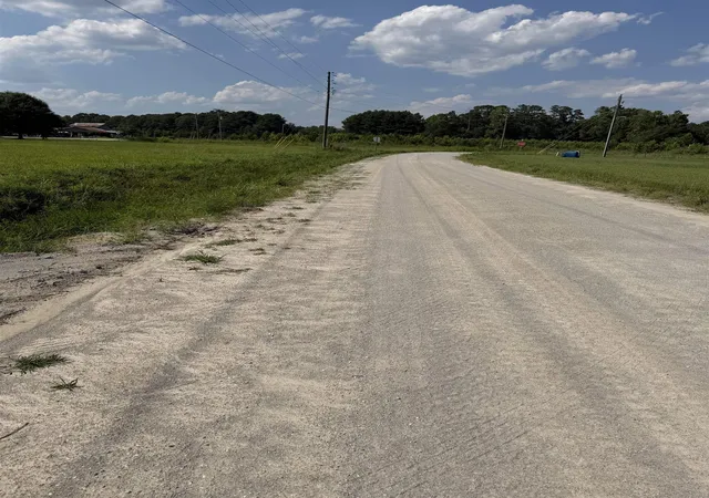 Photo 3 of Land for sale at Tbd Strickland Rd, Green Sea, SC 29545 | MLS# 2620609 | Listing updated on 2026-09-08