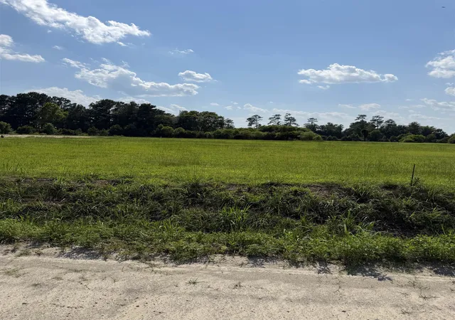 Photo 4 of Land for sale at Tbd Strickland Rd, Green Sea, SC 29545 | MLS# 2620609 | Listing updated on 2026-09-08