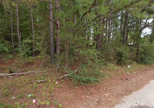 Photo 3 of Land for sale at 143 Acres - W Hemlock St, Andrews, SC 29510 | MLS# 2620747 | Listing updated on 2026-09-21