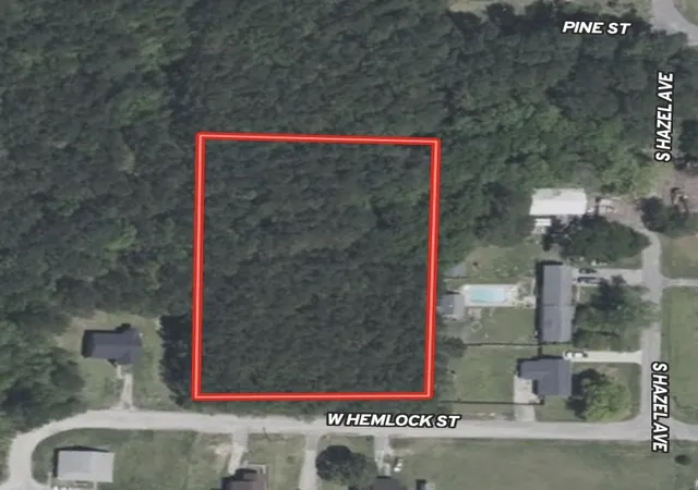 Photo 4 of Land for sale at 143 Acres - W Hemlock St, Andrews, SC 29510 | MLS# 2620747 | Listing updated on 2026-09-21