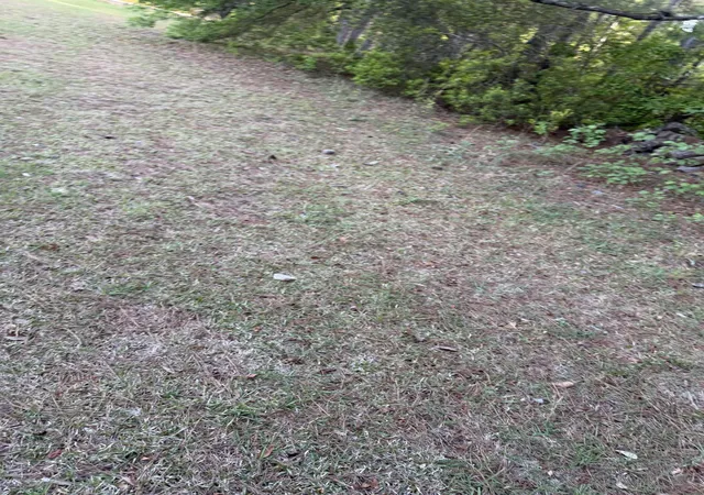 Photo 3 of Single family home for sale at 1605 Weldon Ln, Conway, SC 29526 | MLS# 2620756 | Listing updated on 2026-09-04