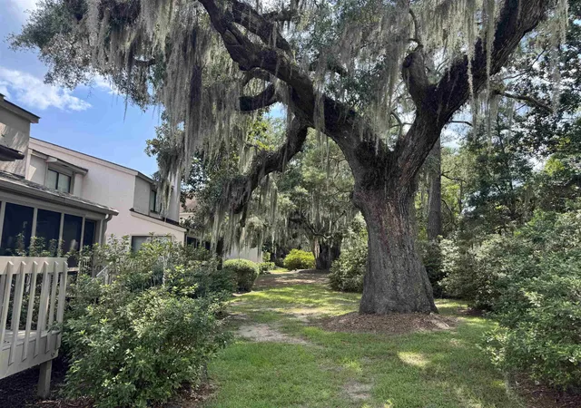 Photo 4 of Sale Pending at 64 Bamboo Loop # 163, Georgetown, SC 29440 | MLS# 2621007 | Listing updated on 2026-09-05