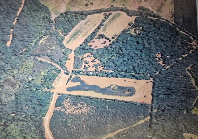 Photo 1 of Land for sale at Tbd Bratcher Rd, Conway, SC 29526 | MLS# 2621604 | Listing updated on 2026-09-02