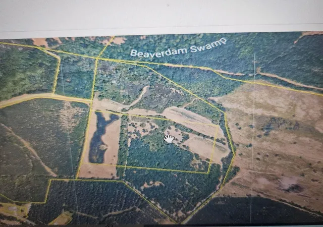 Photo 3 of Land for sale at Tbd Bratcher Rd, Conway, SC 29526 | MLS# 2621604 | Listing updated on 2026-09-02