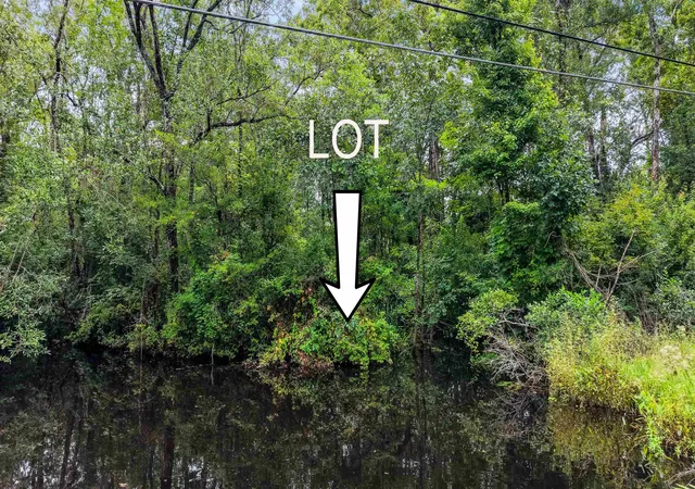 Land for sale at 0 Meggett Dr, Georgetown, SC 29440 | MLS# 2621642
